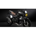 C-Racer Fork Guards for the Suzuki SV 650 (2016+) - FGSV C-Racer Fork Guards for the Suzuki SV 650 (2016+) - FGSV